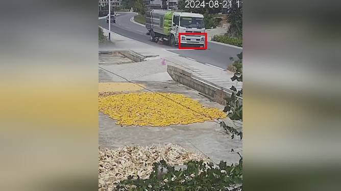 农户在自家院内晒粮食被洒水车喷湿，一场意外的烦恼